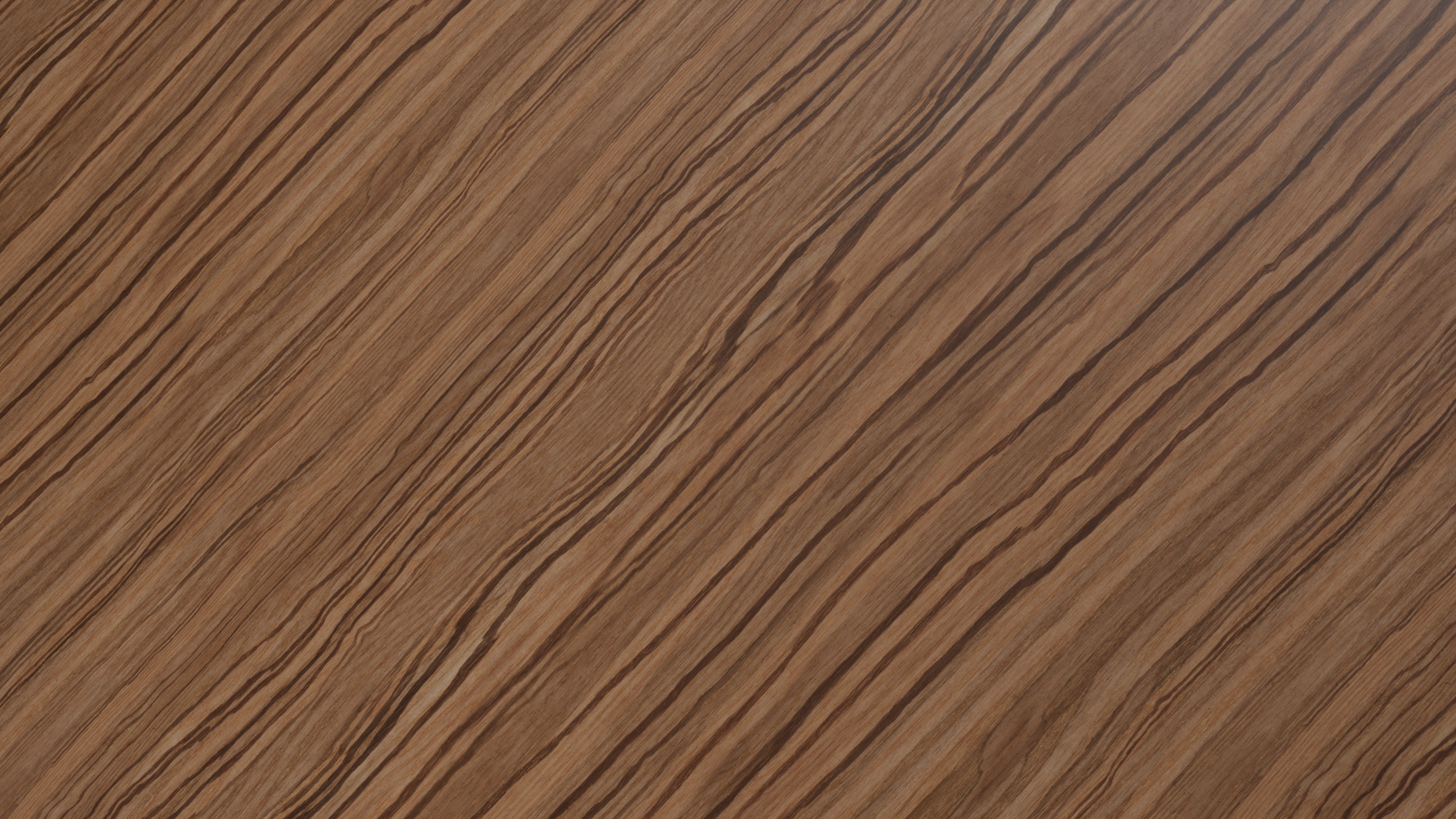 Lacquered Zebrano Wood Veneer Pbr0368